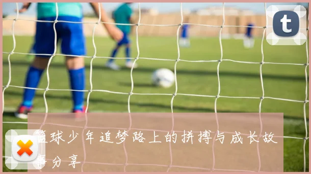 篮球少年追梦路上的拼搏与成长故事分享